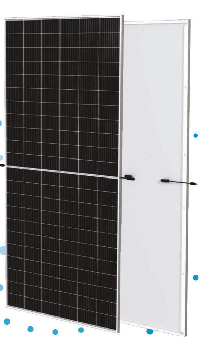 Trina 565W TSM-DE19R.W cornice argentata