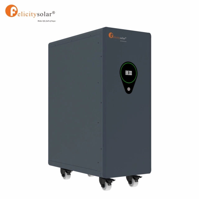 Felicity 25 kWh FLA48500