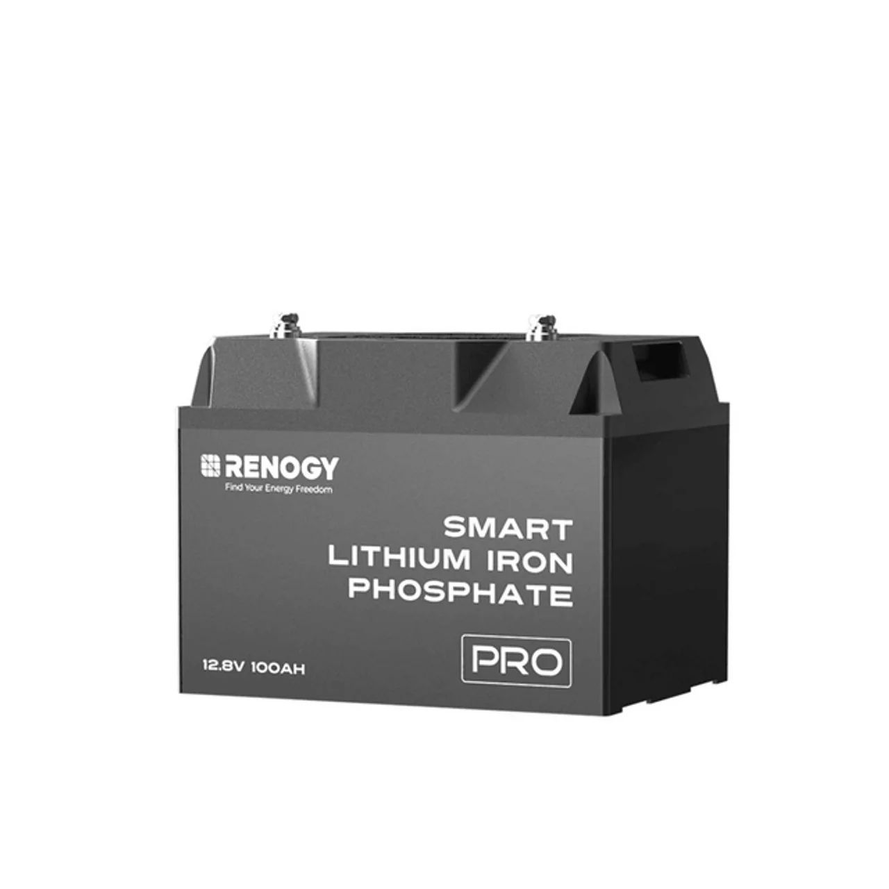 Renogy 2,56 kWh RBT12200LFP-BT